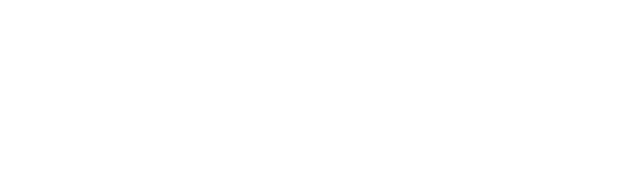 Nicole Tyndale Logo